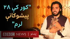 پښتونخوا کې نن سبا د کورنیو حیواناتو د ساتلو او پاللو دود او شوق د پخوا پرتله ډېر شوی دی.