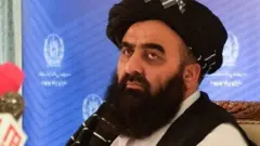 طالبان