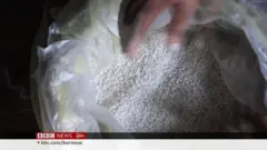 ရခိုင်စစ်ဘေးရှောင်ပြည်သူတချို့ ဆန်ကွဲပဲ စားနေရ