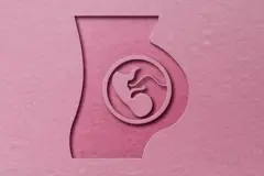 நஞ்சுக்கொடி