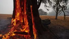 keyframe