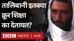 तालिबान