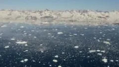 ANTARCTIC