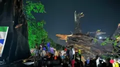 The cotton tree after its collapse