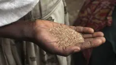 ኣብ ኢደን ጣፍ ዝሓዛ ሰበይቲ