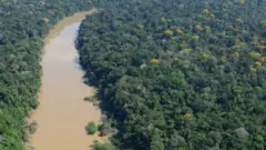 Selva del noreste de Perú.