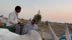 सनी देओल 