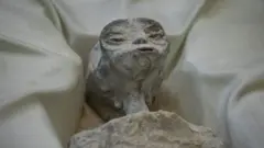 Reeffa qaamolee waliin isaanii adda hin baafamne