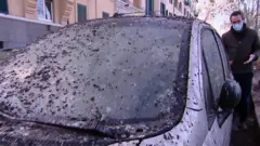 روم کې مرغان
