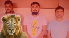 બીબીસી ગુજરાતી, ગુજરાત, બીબીસી, ગીર, અમદાવાદ, ગીર સફારી, ગીર અભયારણ્ય, સિંહદર્શન