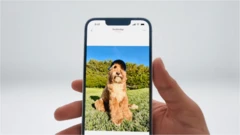 آئی فون 16 ای میں وہی A18 پروسیسنگ چپ استعمال ہوئی ہے جو اس سے مہنگے آئی فون 16 کی سیریز میں استعمال ہوتی ہے