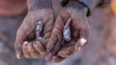 மடகாஸ்கர்