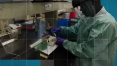 Pesquisador de HIV