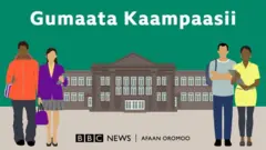 Fakkii namoota mooraa yunivarsiitii keessa jiranii