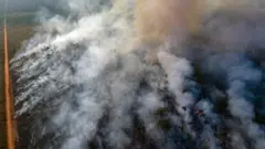 An aerial view of forest fire of the Amazon taken with a drone is seen from an Indigenous territory in the state of Mato Grosso,