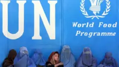 BM Gıda Programı