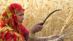किसान