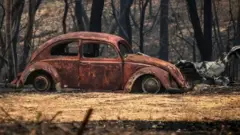 Australia, kebakaran hutan