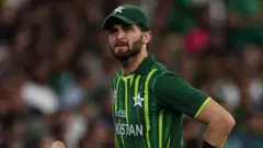 શાહીનશાહ