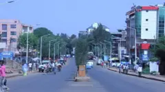 ከተማ ነቀምቴ