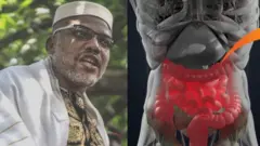 Nnamdi Kanu