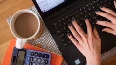 жена за компјутером, жена на послу