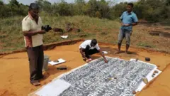 පස් තට්ටුව ඉවත් කළ සෙල්ලිපිය පිටපත් කරන අයුරු