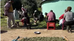 Des hommes et des femmes traitant le cannabis.