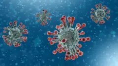 Coronavirus which causes respiratory problems