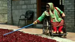 કાશ્મીર