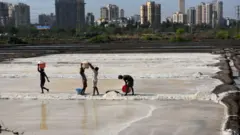 मिठागरे