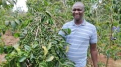 مارتین کینیوآ در منطقه کیرینیاگا در کنیا قهوه کشت می‌کند 