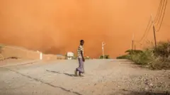 ብዶሮና ሓመድ ዝተሸፈነ ከባቢ