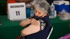 Vacunación