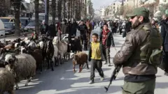 Алеппо, январь 2026