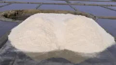 কুতুবদিয়ায় লবণ চাষ
