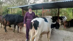 ਦਰਸ਼ਨ ਸਿੰਘ