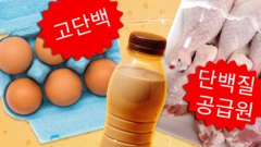 달걀, 밀크쉐이크, 닭다리살