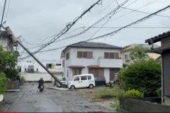 तूफ़ान 'शानशान' से जापान में हुई तबाही