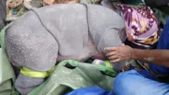5 சதவீதம் தண்ணீரில் மூழ்கிய காசிரங்கா பூங்கா