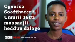 Ol adeemaa