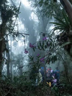Guías capacitados en liderazgo, ecología, biología, turismo y primeros auxilios revisan las cámaras instaladas en el bosque.