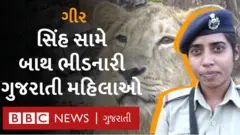 ગીર