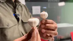 একজনের দুই হাতে দুটি রসুন