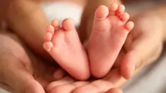 வாடகைத்தாய் சட்டம்