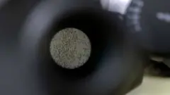 টি সেল