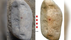 நியாண்டர்தால் மனிதர்கள் 