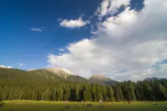 बैसरन घाटी