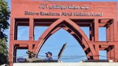 जामिया मिल्लिया इस्लामिया 