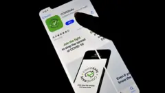 covid_19 app